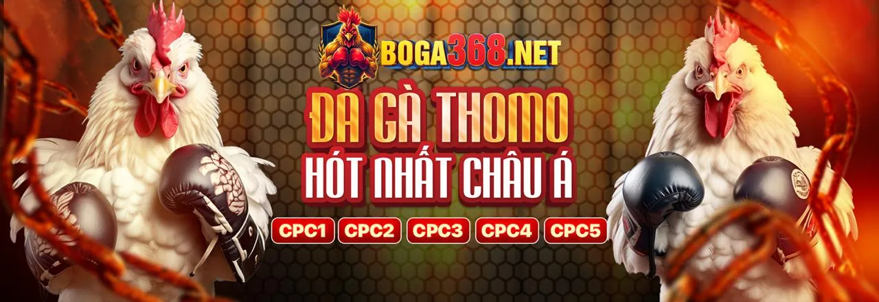 Đá gà trực tuyến fb68 chính thức